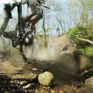 Meet your Posher, Roy